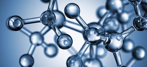 La science est en fête !