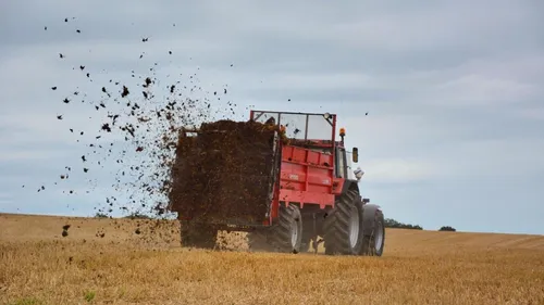 Plus ça pue, plus c’est bon