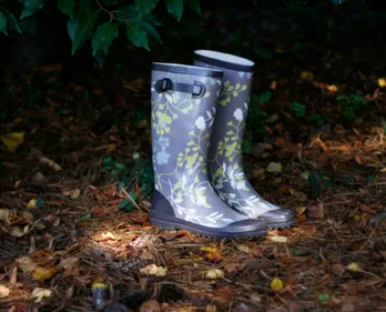 Un temps d'automne au coeur de l'été