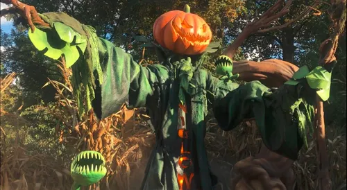 Nigloland déjà déguisé pour Halloween.