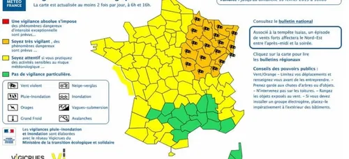 Alerte aux vents violents