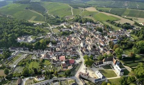 Le maire du village des Riceys veut un titre