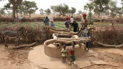Des élèves aubois aident le Niger.
