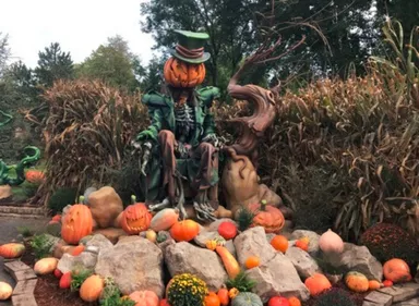 Nigloween 2019 est prêt !