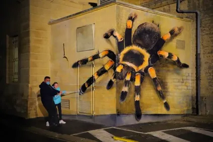 Espèce menacée ou protégée ?