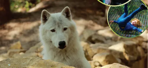 L'été au Parc Argonne Découverte