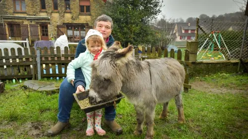 L'âne «P’tit Jacques» est mort