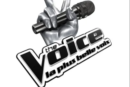 QUI SERONT LES NOUVEAUX COACH DE THE VOICE ?