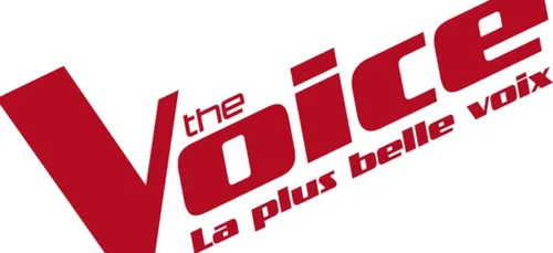 L'ÉMISSION THE VOICE EST ELLE TRUQUÉE ? 