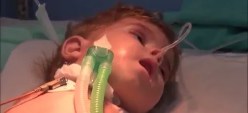 Urgence humanitaire à GAZA : levée du BLOCUS ! #OpenGaza