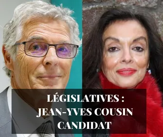 Législatives : Jean-Yves Cousin supplante Evelyne Stirn
