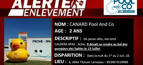 Olonne-sur-Mer : qui a volé le canard géant ?