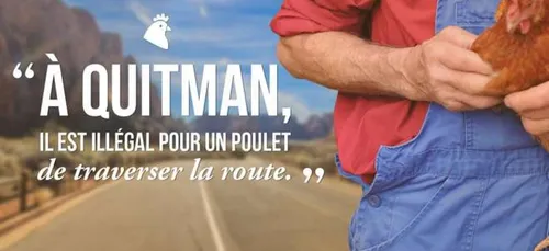 Les lois américaines les plus ridicules !