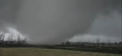 USA : une tornade fait s'envoler des vaches ! (Vidéo)
