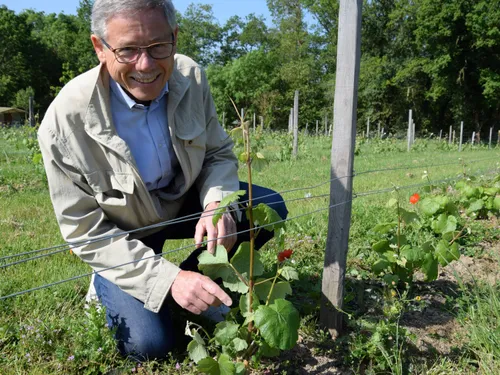 🔊 La fête de la vigne s'invite en centre-ville de Lèves