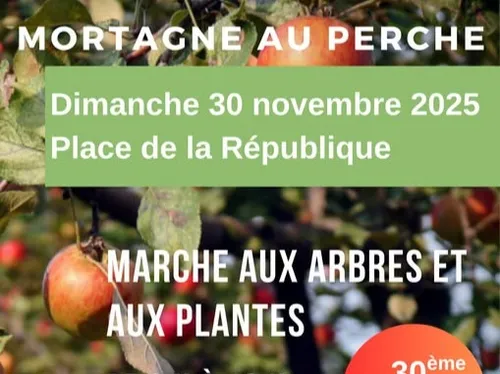 MORTAGNE-AU-PERCHE (61) - 30ᵉ Marché aux Arbres