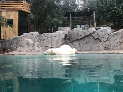 Lancement de la nouvelle saison au Parc Zoologique d’Amnéville