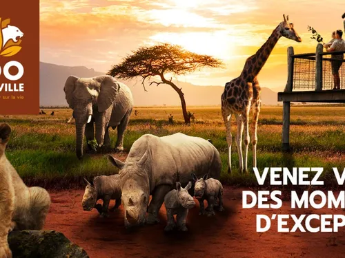 Cette semaine, le Wake Up vous emmène au Zoo d’Amnéville