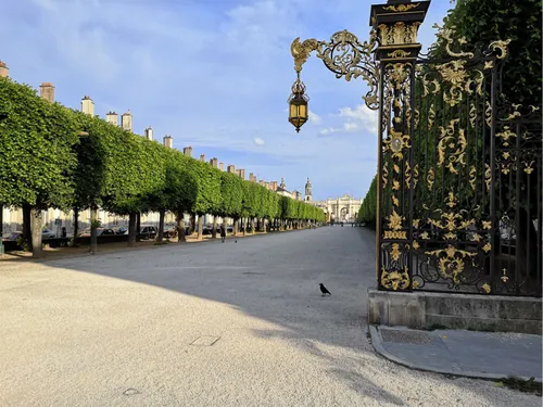 Nancy. Le chemin piéton estival est de retour ! 