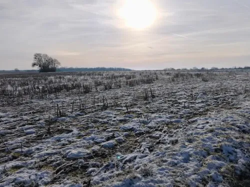 Météo : la neige est arrivée dans les Vosges