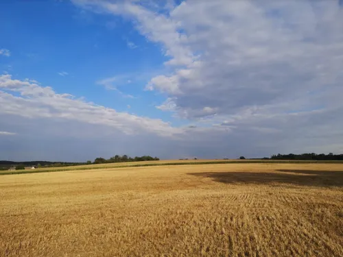 Vague de chaleur en lorraine : jusqu’à 37° en prévision pour la fin...