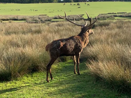  Parc Animalier de Sainte-Croix : un nouveau pensionnaire vient...
