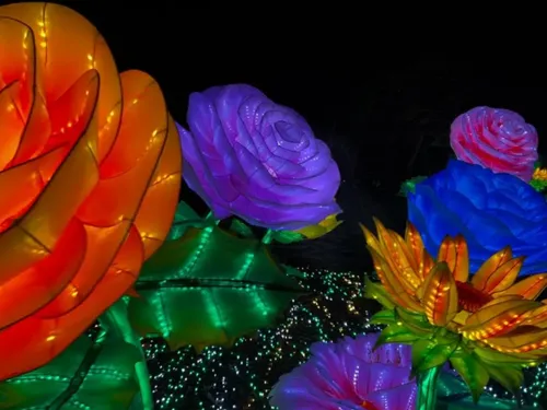 VOS PLACES POUR DÉCOUVRIR LUMINESCENCES EN AVANT-PREMIÈRE