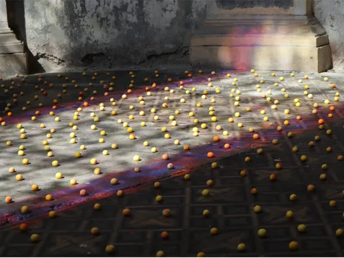 Mirabilis. La mirabelle mise à l’honneur aux Trinitaires 