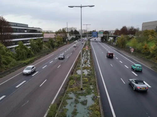 Battues de sangliers en lorraine : une partie de l’A31 fermée ce...