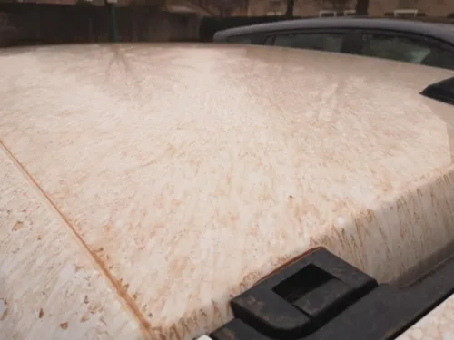 Météo : Vers un retour du sable du Sahara en lorraine ? 