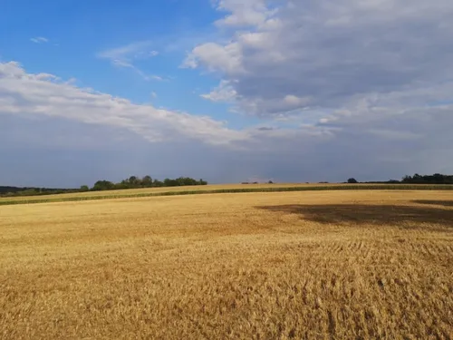 La Meurthe-et-Moselle passe en vigilance sécheresse