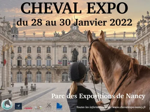 Nancy : le salon du cheval fait son retour au Parc des Expositions