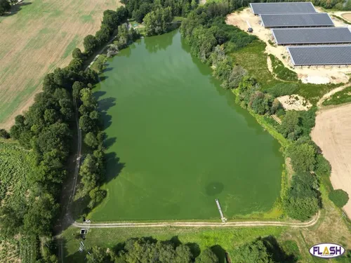Un projet d'élevage intensif de bovins contesté à Peyrilhac