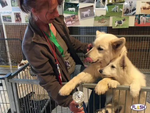 La 12e édition du Salon des animaux à Limoges