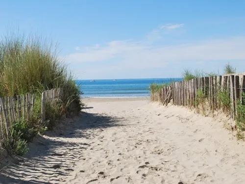 Près de Montpellier : emprunter un vélo gratuitement pour aller à...