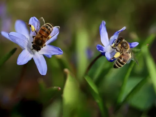 Bessan, Soumont, Bouillargues… 18 communes Occitanes distinguées...