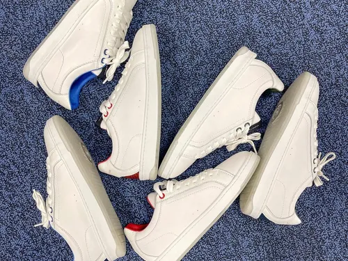 « La Bise à Denise », des sneakers décalées, éco-responsables...