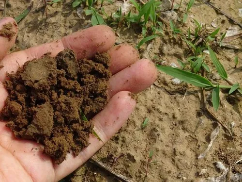 Quatre opérations “compost gratuit” pour les Nîmois, la première ce...