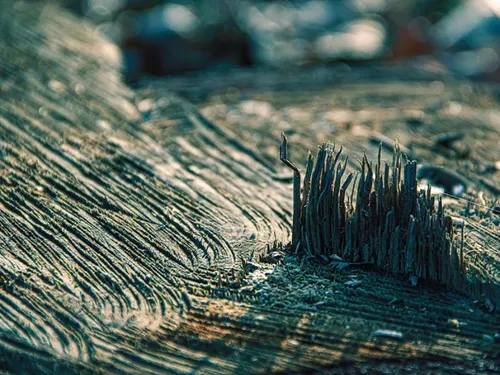 Le GIEC appelle à une action immédiate pour éviter une catastrophe...