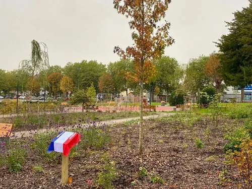 Fourmies : la plantation d’un arbre pour sensibiliser au don d'organes