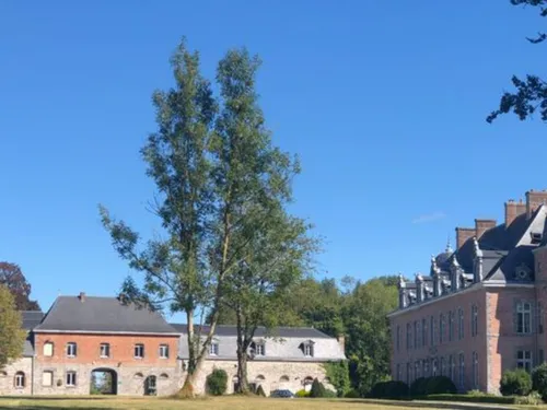 Et si le château de Dourlers devenait un restaurant de luxe ou un...