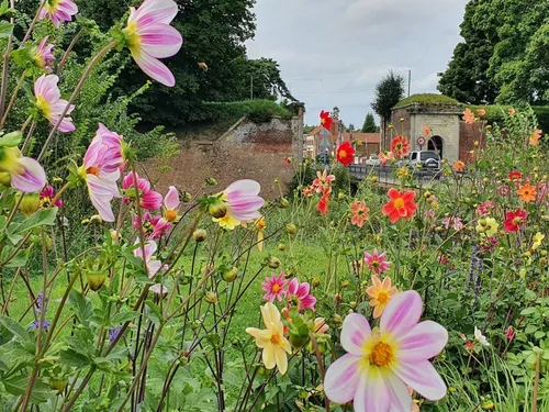 Le Quesnoy : des précisions sur le projet de création d’un parc...