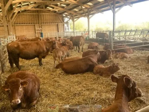 Petit-Fayt : un nouvel appel à l’aide pour collecter 40 000 € avant...