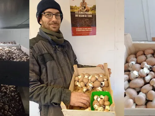 Sains-du-Nord : le maraîcher bio Nicolas Vandermarcq s’est lancé...