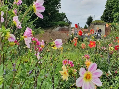 Le Quesnoy : réouverture de l’Estaminet des Remparts