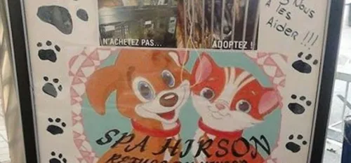 Un appel à la vigilance lancé par les responsables de la SPA...