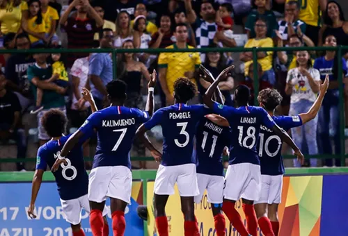 Les bleuets renversés