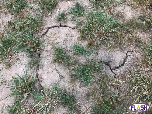 Sécheresse : Reconnaissance de l'état de catastrophe naturelle pour...