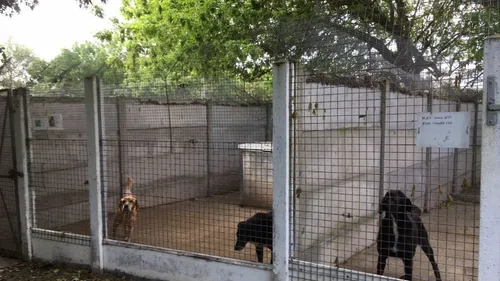 Décédée sans héritier, une femme transmet l’ensemble de son...