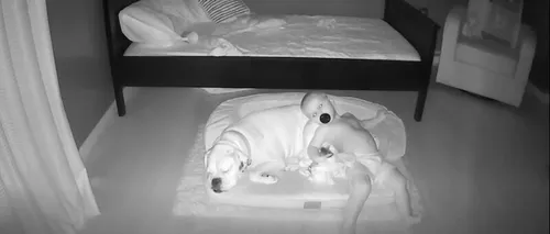Chaque nuit, ce petit garçon sort de son lit pour dormir avec son...